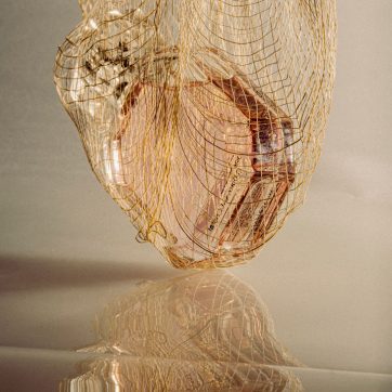 Die besten Düfte für den Herbst 2025